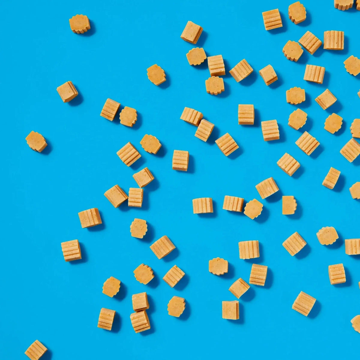 Project Hive Pet Company Hive Dog Training Treats - Talis Us