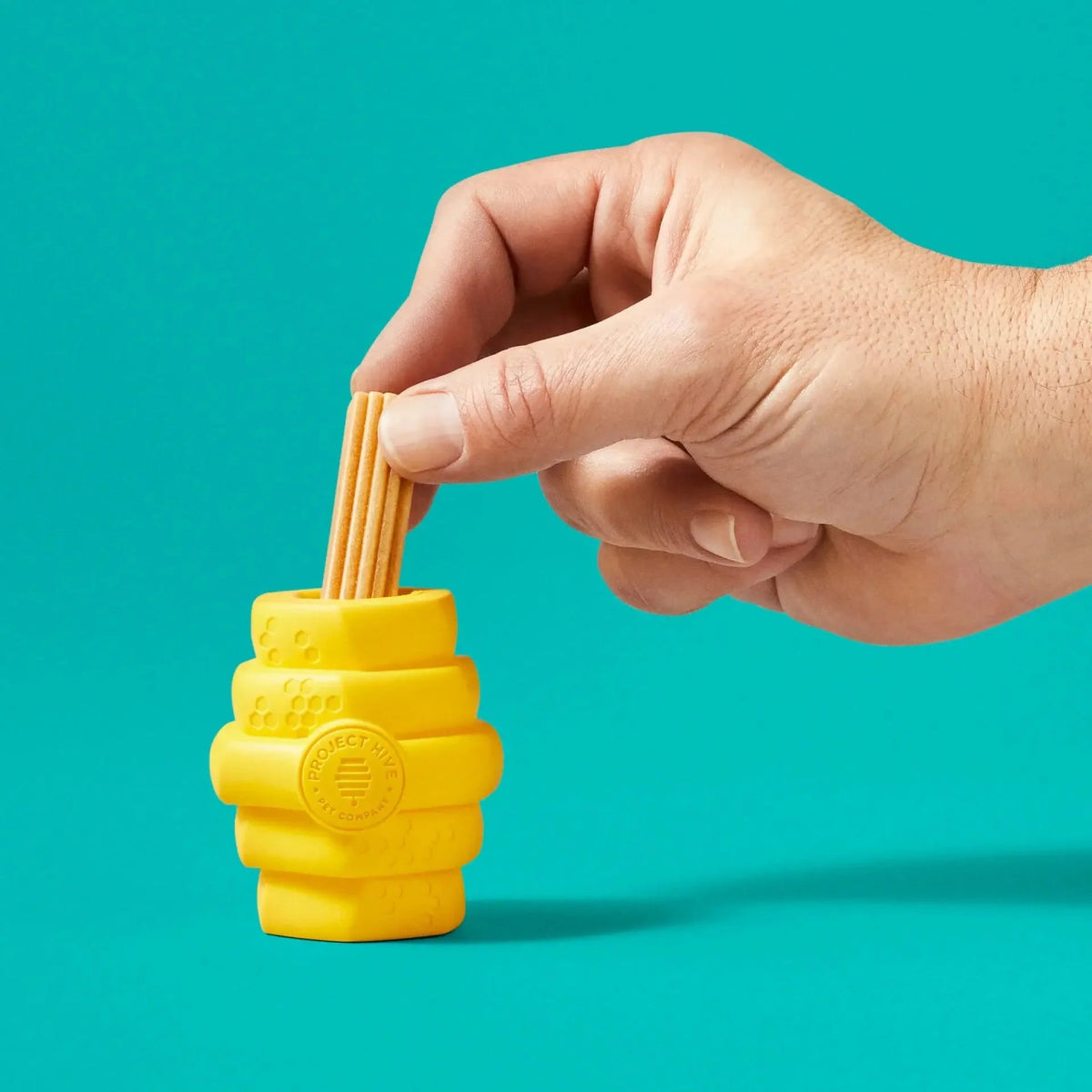 Project Hive Pet Company Hive Durable Chew Toy for Small Dogs - Talis Us