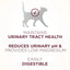 Purina One Special Care Urinary Health High Protein Adult Dry Cat Food - Talis Us