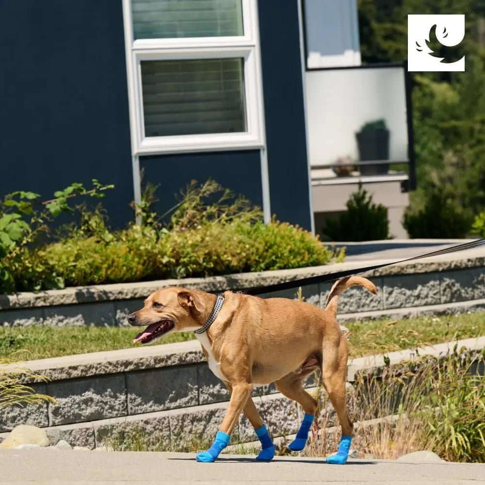RC Pet Products Sporty PAWks Anti - Slip, Stylish, Functional, Protective Dog Socks - Talis Us