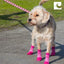 RC Pet Products Sporty PAWks Anti - Slip, Stylish, Functional, Protective Dog Socks - Talis Us