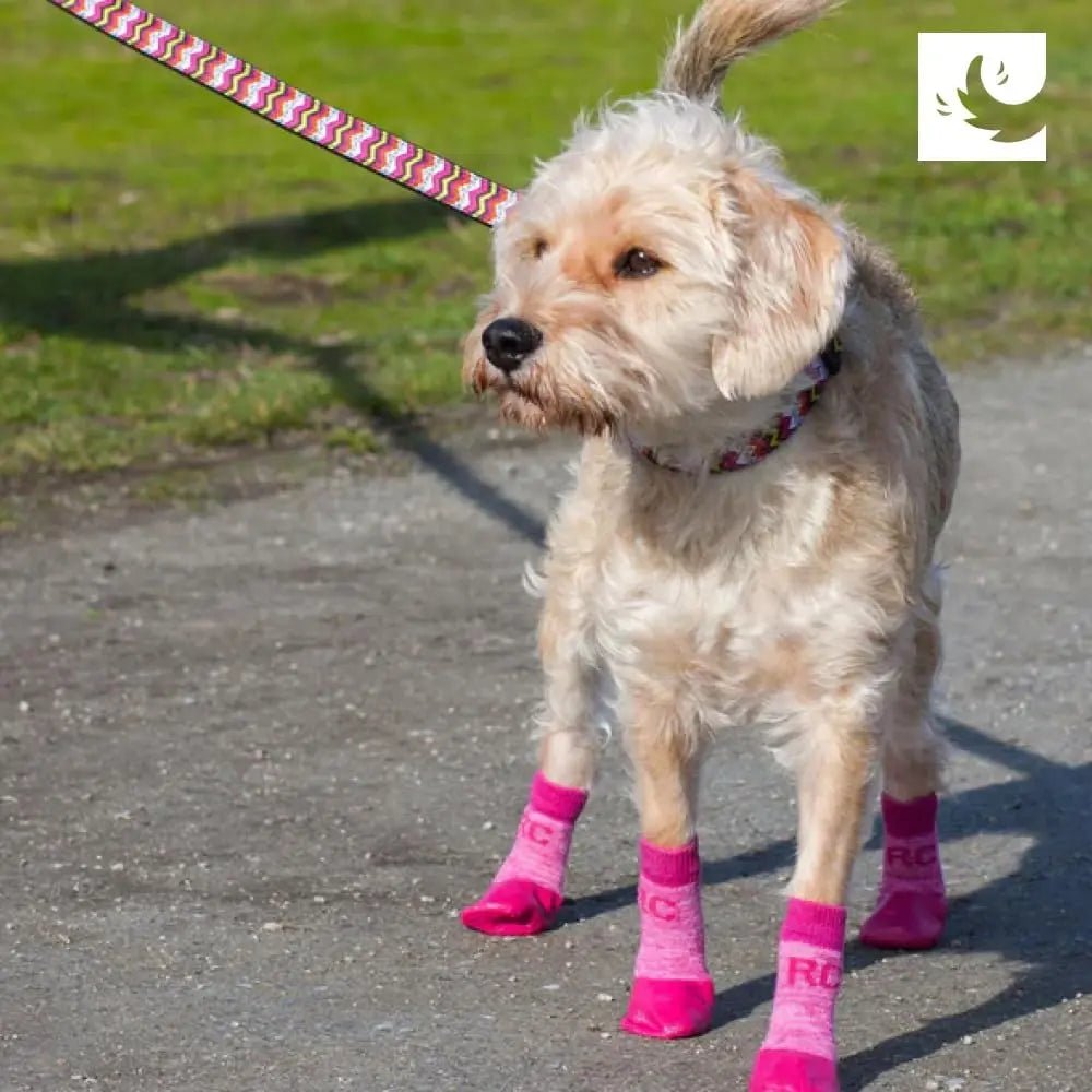 RC Pet Products Sporty PAWks Anti - Slip, Stylish, Functional, Protective Dog Socks - Talis Us