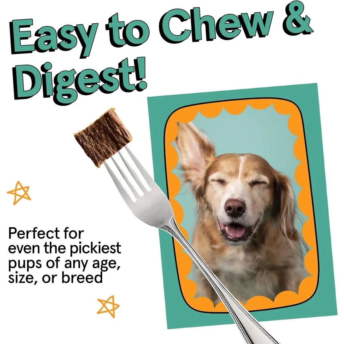 Real Meat Air Dried Cage - Free Turkey Dog Food 10lb - Talis Us