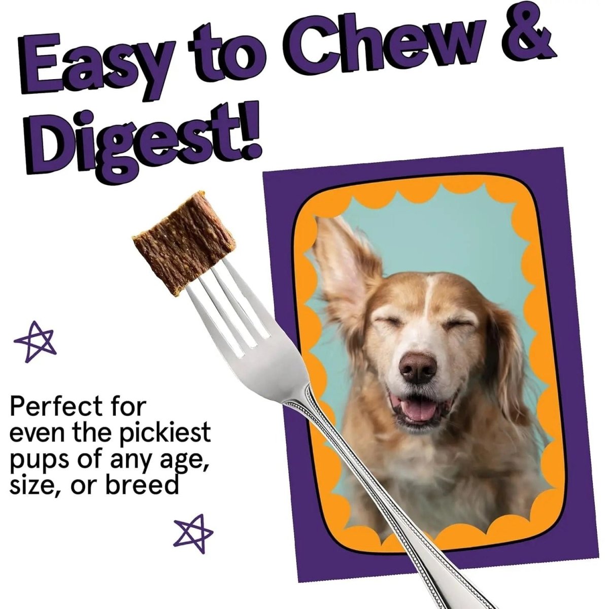 Real Meat Air Dried Grass - Fed Lamb Dog Food 10lb - Talis Us