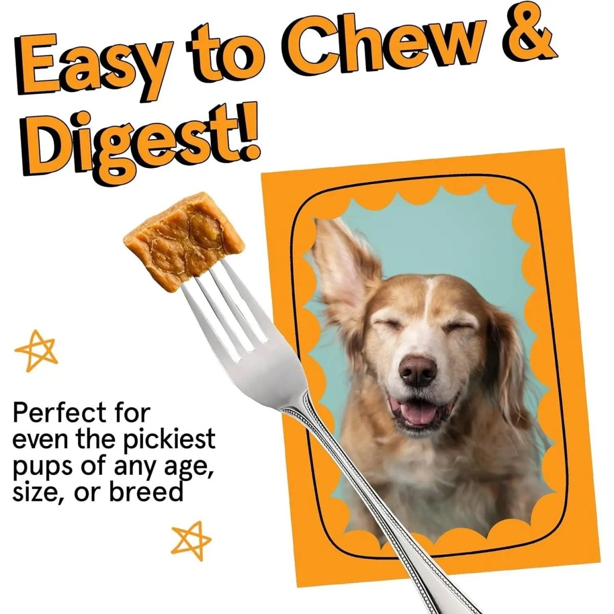 Real Meat Air Dried USA Chicken Dog Food - Talis Us