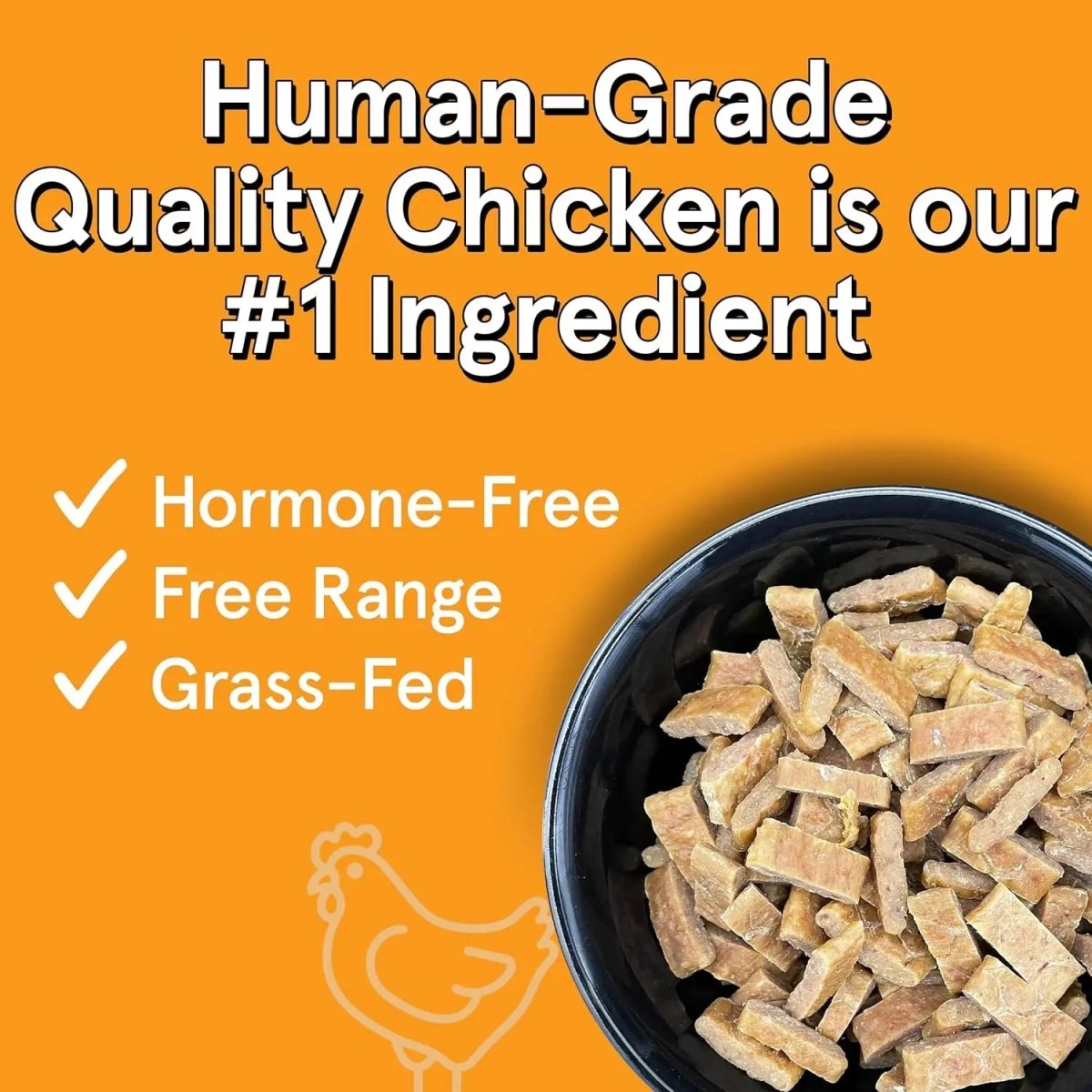 Real Meat Air Dried USA Chicken Dog Food - Talis Us