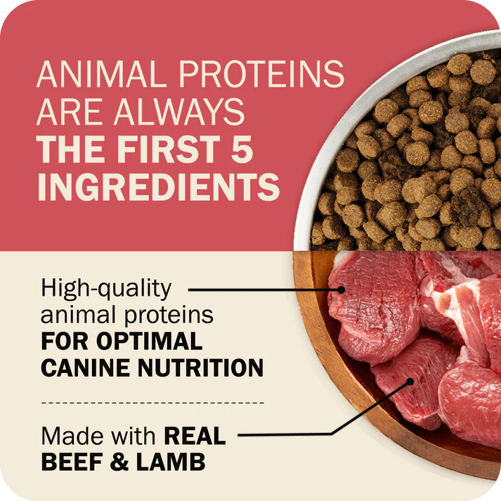 Redbarn beef dry dog food with high-quality animal proteins for optimal canine nutrition