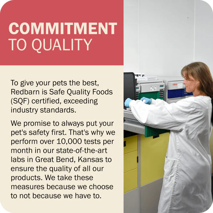 Redbarn beef dry dog food in a quality-focused production facility ensuring pet safety