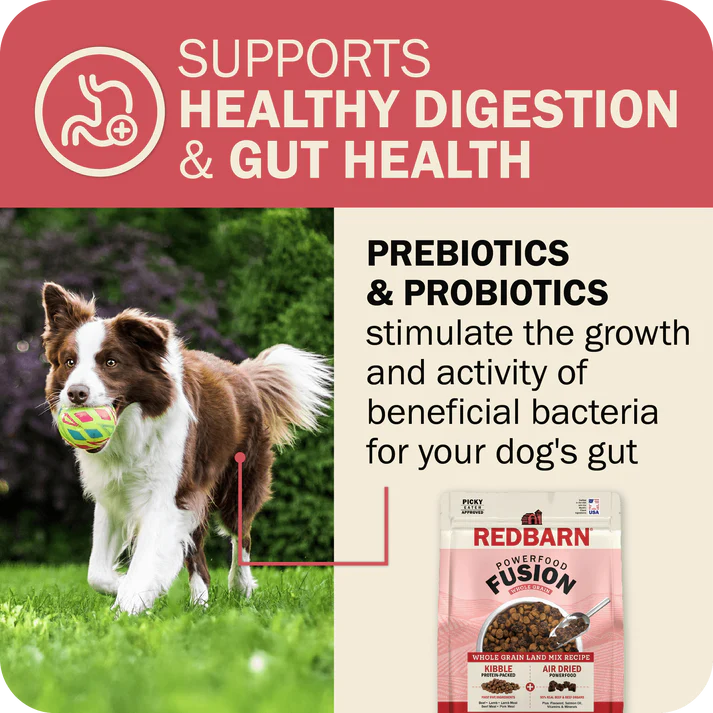 Redbarn beef dry dog food for healthy digestion with prebiotics and probiotics for dogs