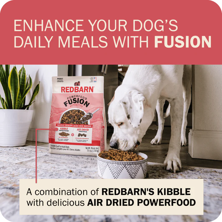 Redbarn beef dry dog food in a bowl with a dog enjoying a meal at home