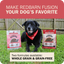 Redbarn beef dry dog food with two formulas, whole grain and grain-free, beside a happy dog outdoors