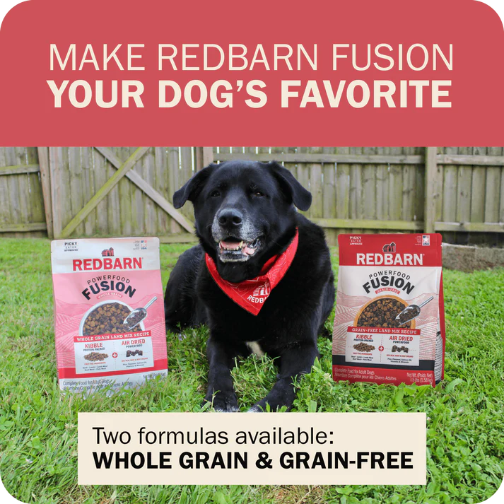 Redbarn beef dry dog food with two formulas, whole grain and grain-free, beside a happy dog outdoors