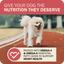 Happy dog running on a track with Redbarn beef dry dog food for optimal nutrition and heart health