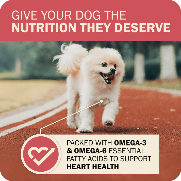 Happy dog running on a track with Redbarn beef dry dog food for optimal nutrition and heart health