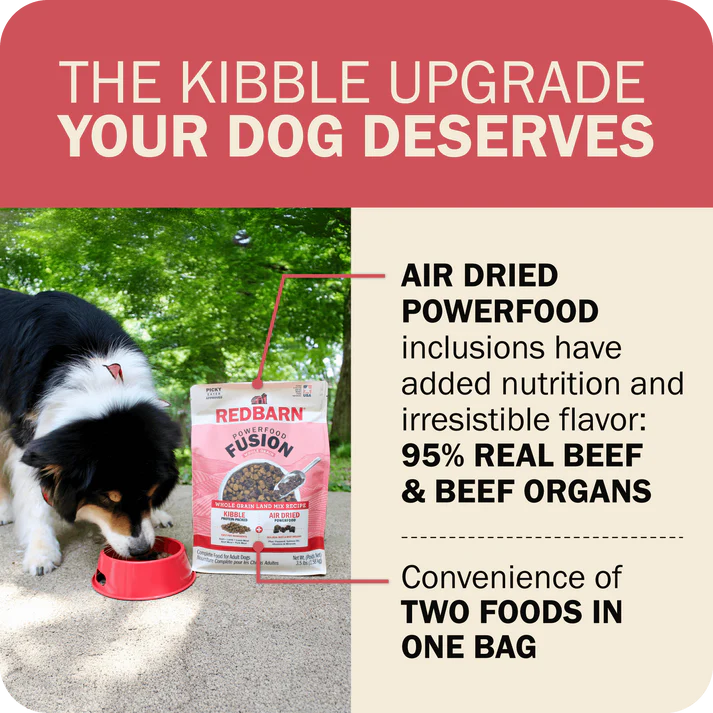 Redbarn beef dry dog food featuring real beef and organ inclusions for enhanced nutrition and flavor