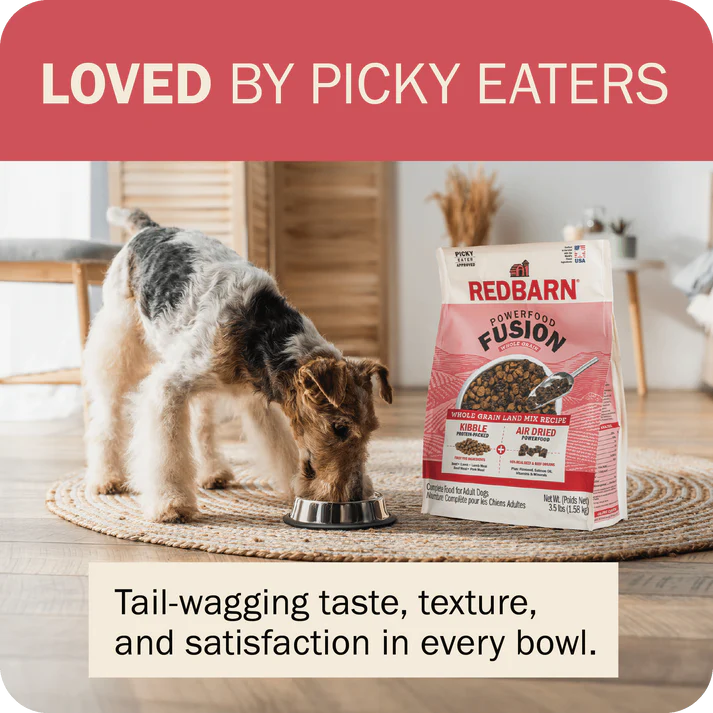 Redbarn beef dry dog food in a bowl with a dog enjoying its meal on a cozy mat