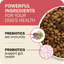 Redbarn beef dry dog food featuring powerful ingredients for immunity and gut health