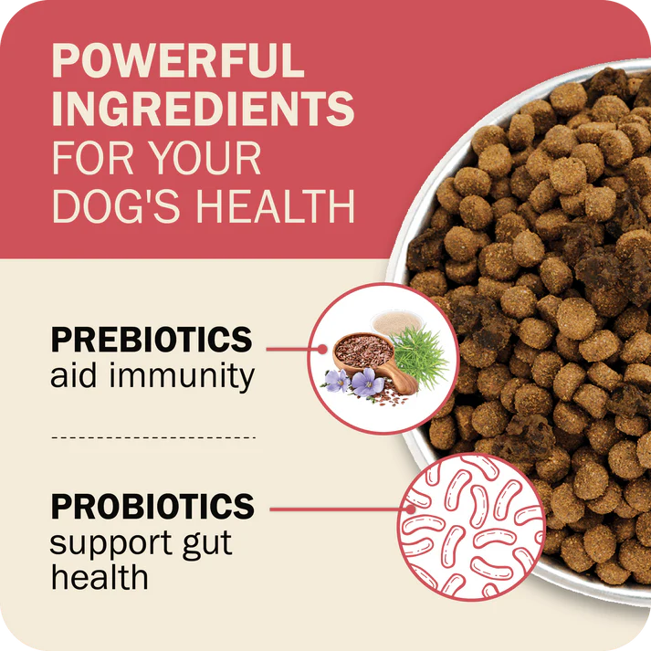 Redbarn beef dry dog food featuring powerful ingredients for immunity and gut health