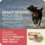 Redbarn beef dry dog food advertisement highlighting superfoods for immunity, skin, coat, and joint health