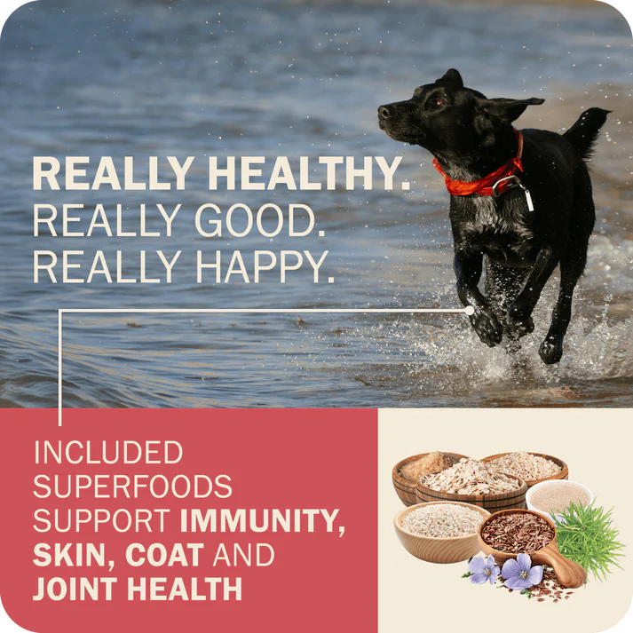 Redbarn beef dry dog food advertisement highlighting superfoods for immunity, skin, coat, and joint health