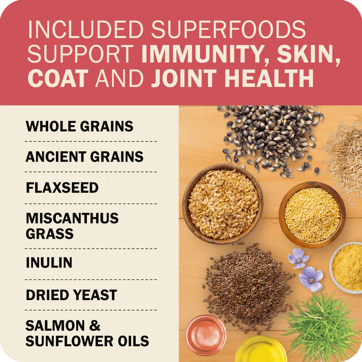 Redbarn beef dry dog food with included superfoods for immunity, skin, coat, and joint health