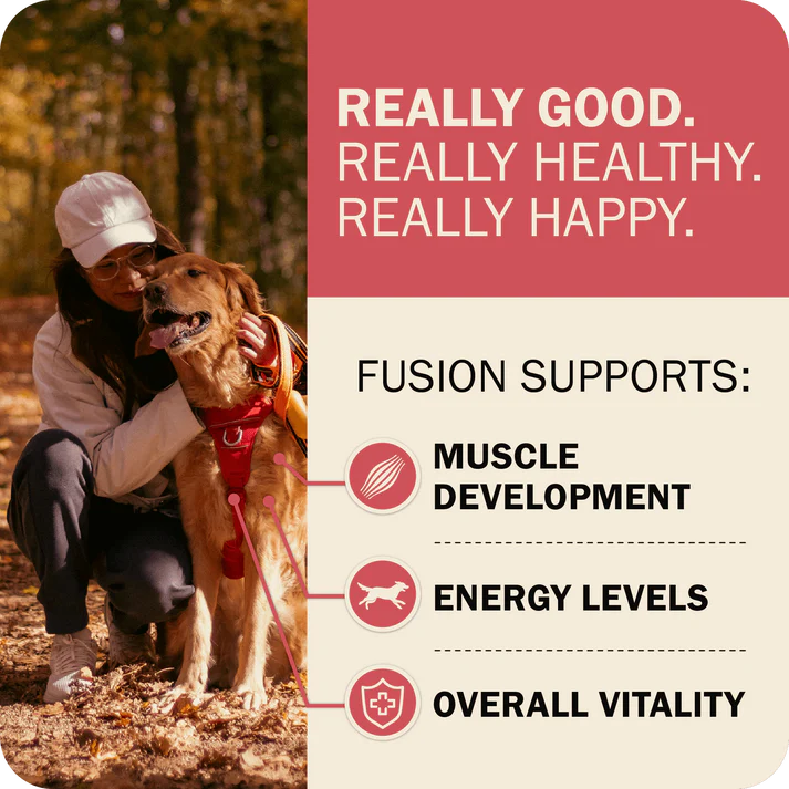 Redbarn beef dry dog food promoting muscle development and overall vitality for healthy dogs