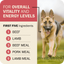 Redbarn beef dry dog food featuring beef as the first ingredient for overall vitality and energy levels