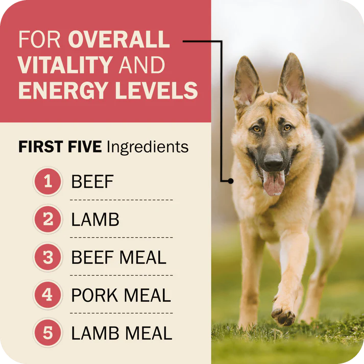 Redbarn beef dry dog food featuring beef as the first ingredient for overall vitality and energy levels