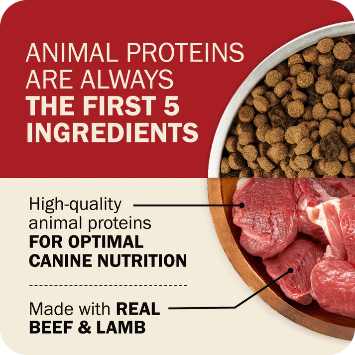 Redbarn grain free dog food featuring high-quality proteins with real beef and lamb for optimal nutrition
