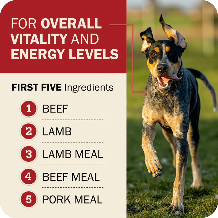 Redbarn grain free dog food featuring beef and lamb as top ingredients for energy and vitality