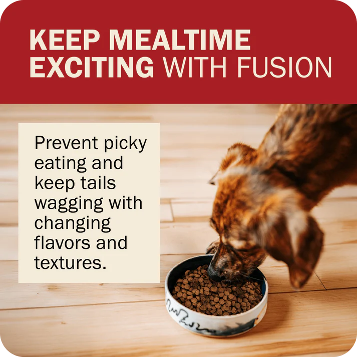 A dog enjoying Redbarn grain free dog food from a bowl with a focus on mealtime excitement