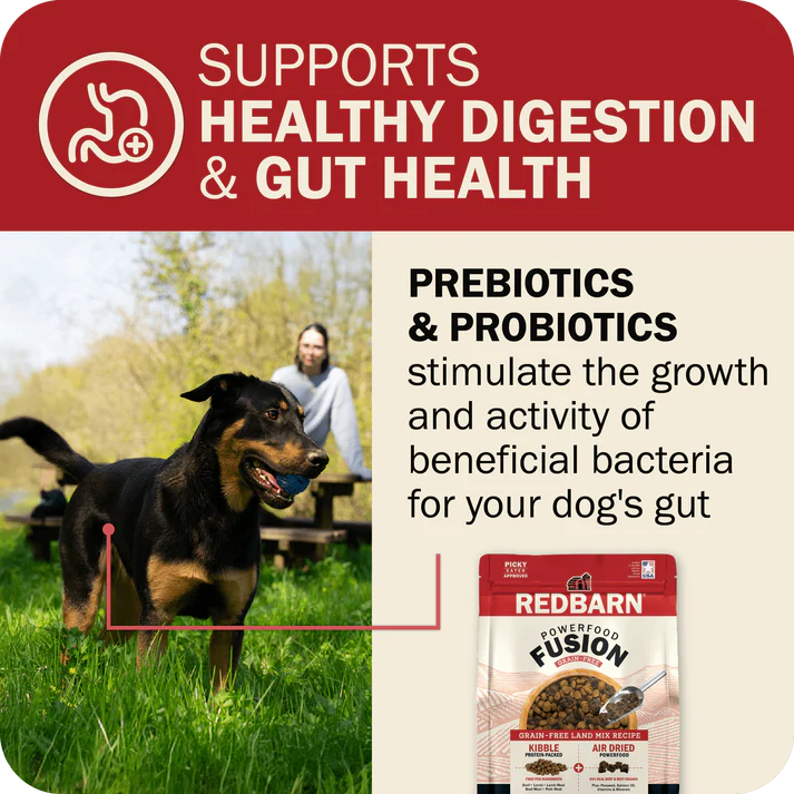 Redbarn grain free dog food with prebiotics and probiotics for healthy digestion and gut health