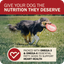 Active dog playing with a frisbee, showcasing Redbarn grain free dog food for optimal nutrition