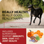 Redbarn grain free dog food featuring superfoods for immunity, skin, coat, and joint health