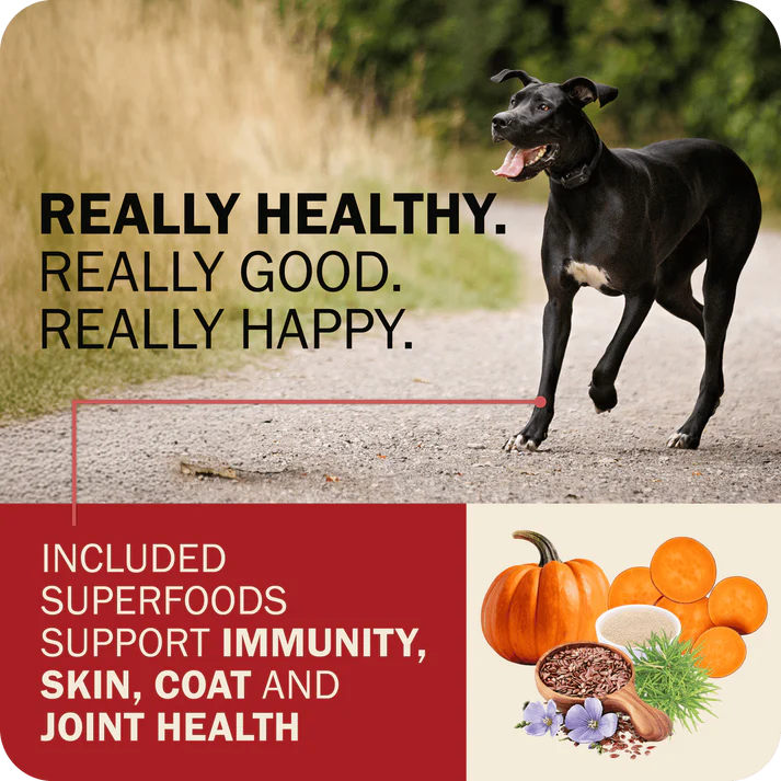 Redbarn grain free dog food featuring superfoods for immunity, skin, coat, and joint health