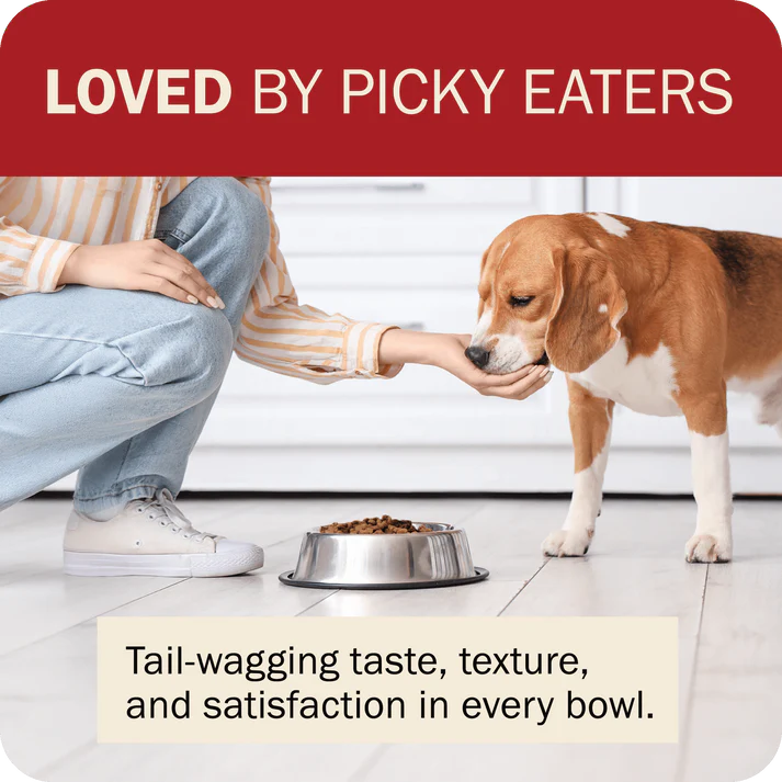 Redbarn grain free dog food in a bowl, loved by picky eaters for its taste and texture