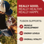 Redbarn grain free dog food supports muscle development, energy levels, and overall vitality for happy dogs