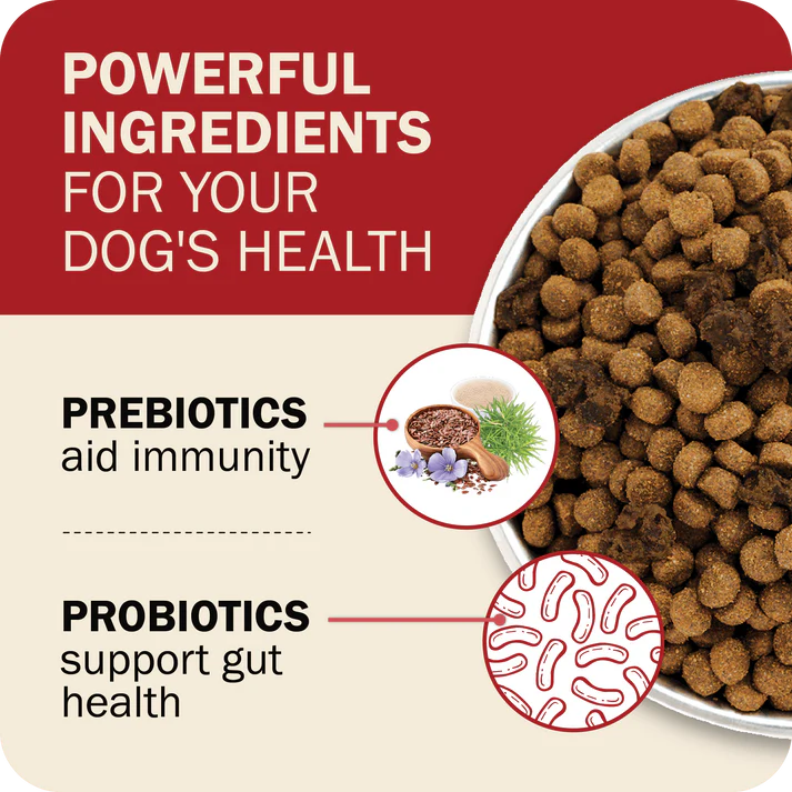 Bowl of Redbarn grain free dog food with probiotics and prebiotics for optimal health