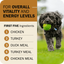 Redbarn grain free dry dog food featuring chicken, turkey, and duck meal for overall vitality