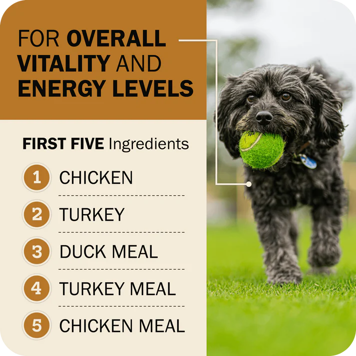 Redbarn grain free dry dog food featuring chicken, turkey, and duck meal for overall vitality