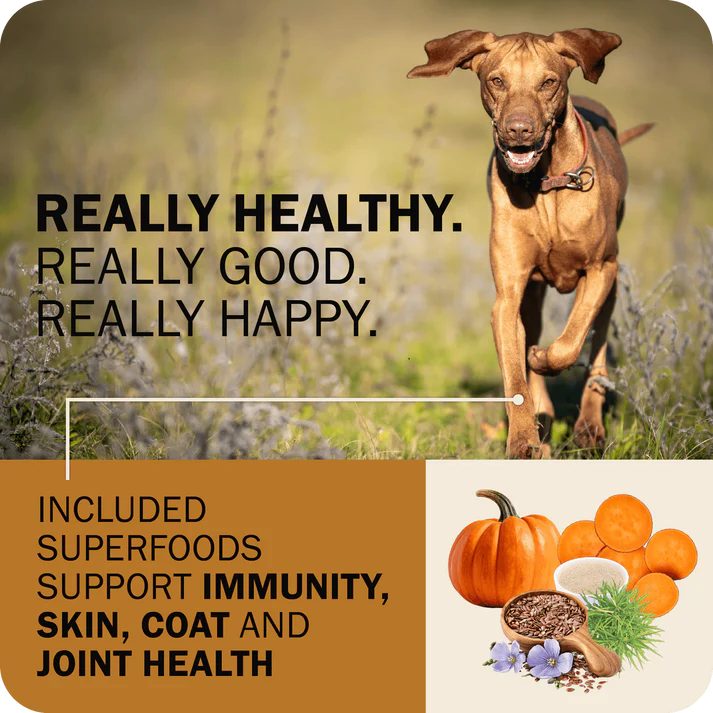 Redbarn grain free dry dog food with superfoods for immune and joint health in a happy dog image