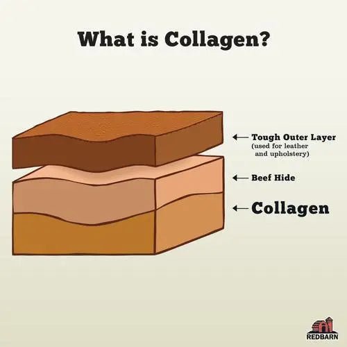 Redbarn Pet Products Collagen Barbell Dog Treat - Talis Us