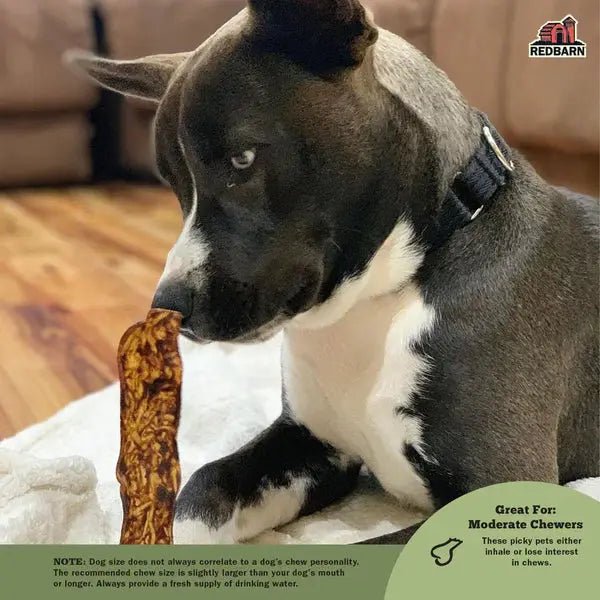 Redbarn Pet Products Natural Bully Slices Hickory BBQ Flavor Dog Treat 9 oz - Talis Us