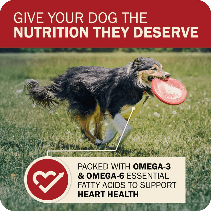 Redbarn Pet Products Powerfood Fusion Grain - Free Land Mix Dry Dog Food - Talis Us