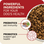 Redbarn Pet Products Powerfood Fusion Grain - Free Land Mix Dry Dog Food - Talis Us