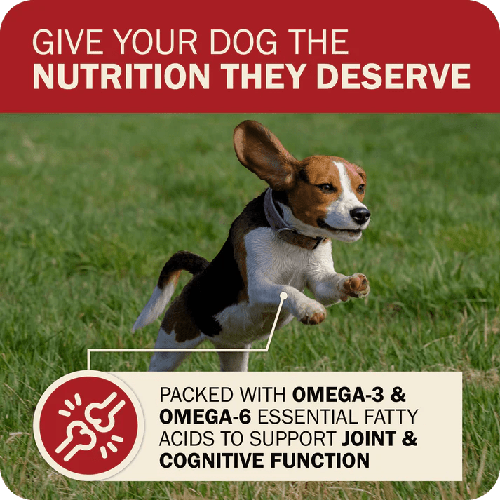 Redbarn Pet Products Powerfood Fusion Grain - Free Land Mix Dry Dog Food - Talis Us