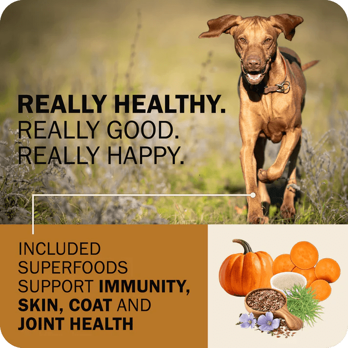 Redbarn Pet Products Powerfood Fusion Grain - Free Sky Mix Dry Dog Food - Talis Us