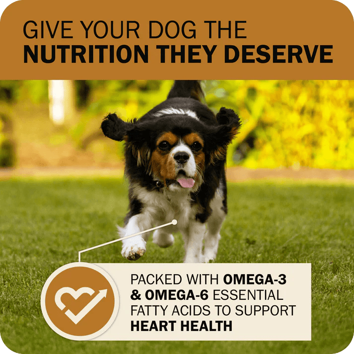 Redbarn Pet Products Powerfood Fusion Grain - Free Sky Mix Dry Dog Food - Talis Us