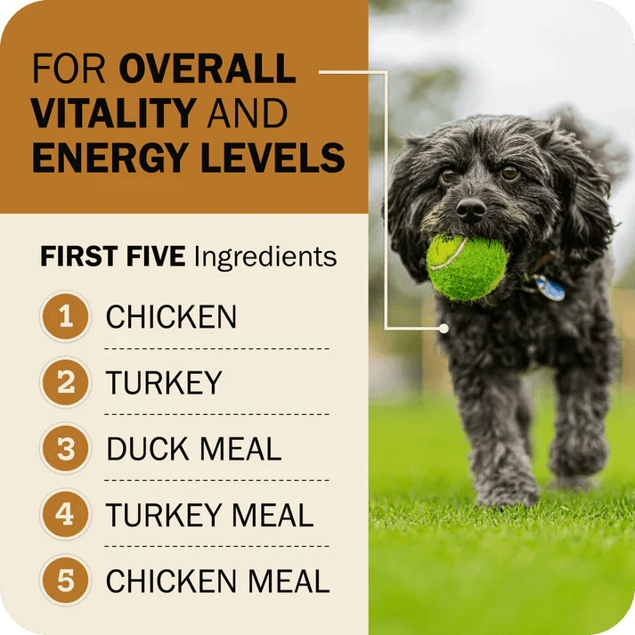 Redbarn Pet Products Powerfood Fusion Grain - Free Sky Mix Dry Dog Food - Talis Us