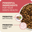 Redbarn Pet Products Powerfood Fusion Whole Grain Land Mix Beef Recipe Dry Dog Food - Talis Us